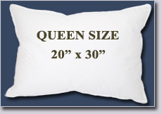 Queen Size Pillow--20" x 30"
