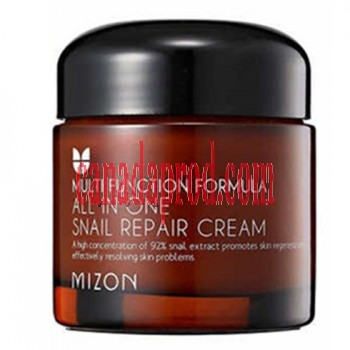 MIZON All in One Snail Cream 75 ml