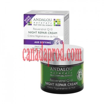 Andalou Resveratrol Q10 Night Repair Cream 50ml