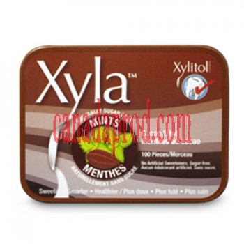 Xyla Cocoamint Mints 6 x 100 pc 