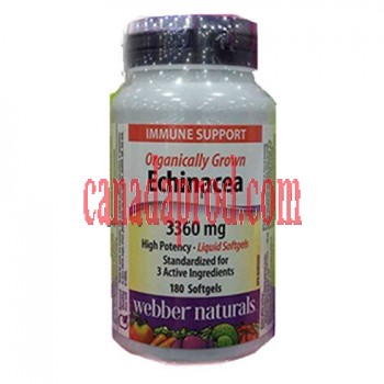 Webber Naturals  Organically Grown Echinacea 3360 mg 180 softgels 