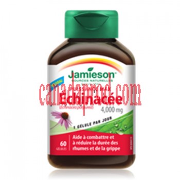 Jamieson Max Potency Echinacea 60 softgels .