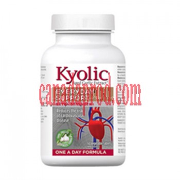 Kyolic Aged Garlic  Extra Strength 1000 mg One A Day 60 veg tabs,