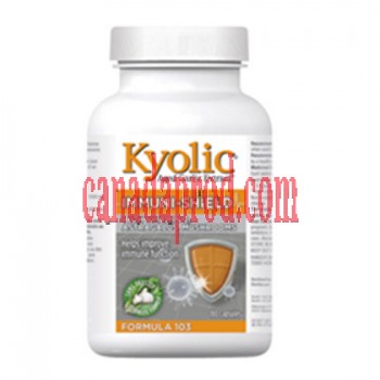 Kyolic Formula 103 Immuni-Shield 180 capsules