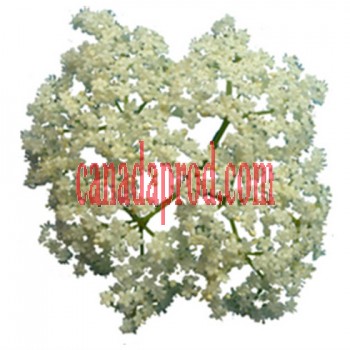 SURO Dried organic elderflowers 56.7 gr