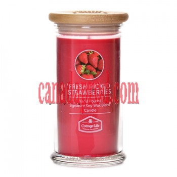 Fresh Picked Strawberries Cottage Life Weekend Collection Candle 16oz