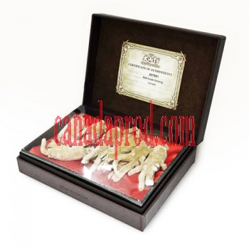 GM Ginseng Extra Grade AAA Bulk (XL) with Leather Gift Box 150g