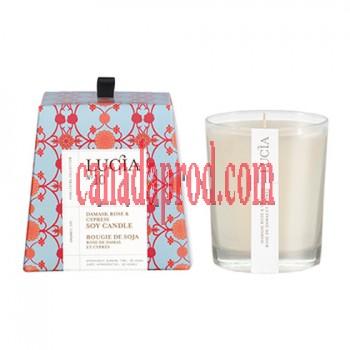 Lucia Damask Rose & Cypress Soy Candle 20h