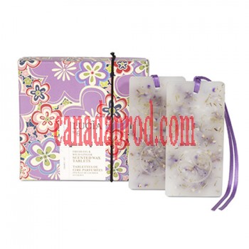 Lucia Fresh Fig & Wild Ginger Scented Wax Tablets