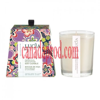  Lucia Fresh Fig & Wild Ginger Soy Candle 20h