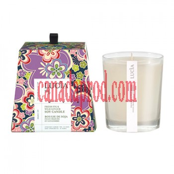 Lucia Fresh Fig & Wild Ginger Soy Candle 50h