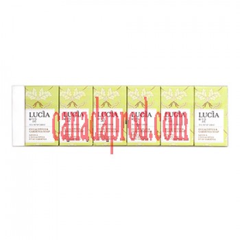 Lucia Guest Soaps Gift Box 6 Bars – Eucalyptus & Gardenia Soap 6×25g