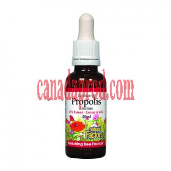 Natural Factors Bee Propolis 65% Extract Liquid 30ml