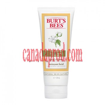  Burt’s Bees Sensitive Facial Cleanser 170g