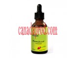 Clefdeschamps Mamaboost Tincture 50ml