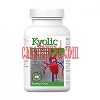Kyolic Aged Garlic Everyday Support Formula 100 360capsules