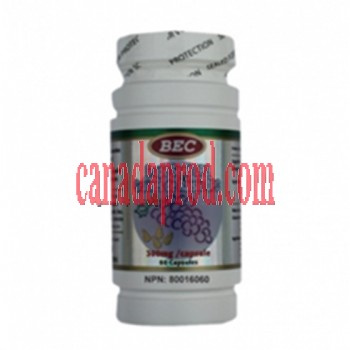 BEC Grape seed OPC 300 mg  60  capsules  