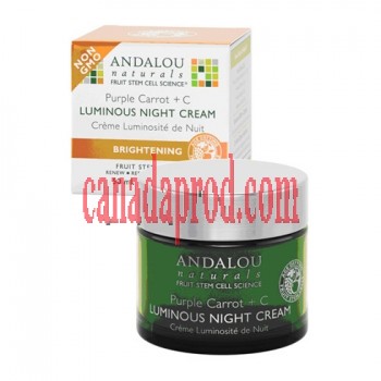 Andalou Purple Carrot  C  Luminous Night Cream 50ml